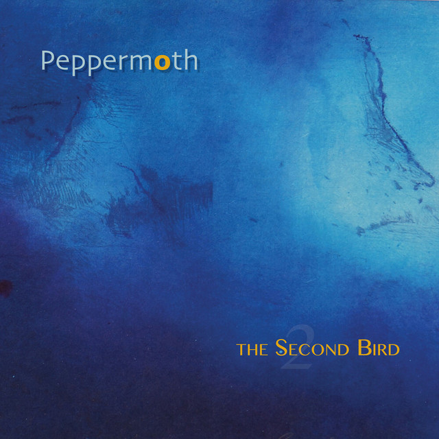 The Second Bird cover art