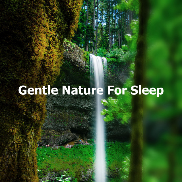 Gentle Nature For Sleep - Album by Sleep Sounds of Nature | Spotify
