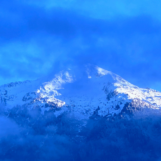Winter