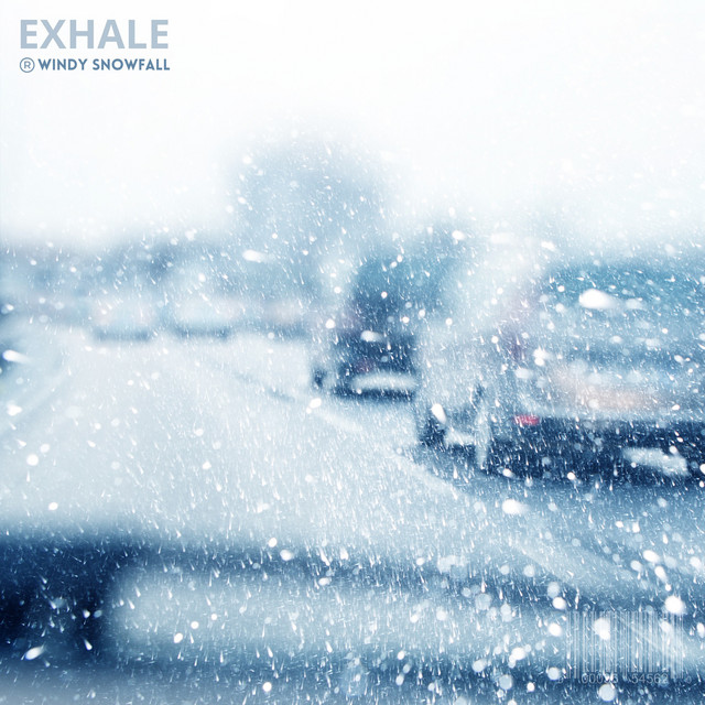 WINDY SNOWFALL cover art