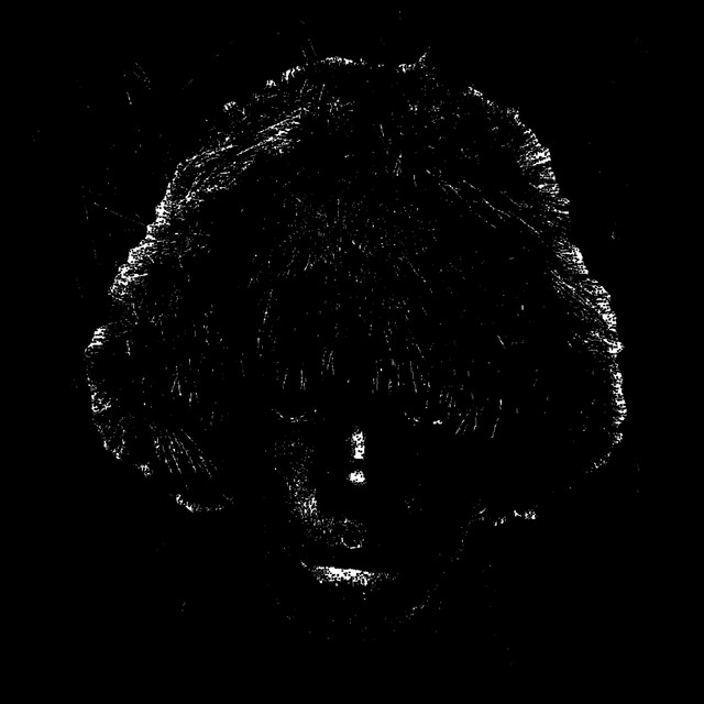 But, Did You Have Fun? cover art