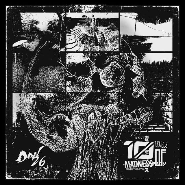 10 Levels Of Madness cover art