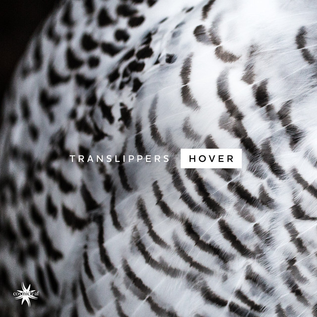Hover cover art