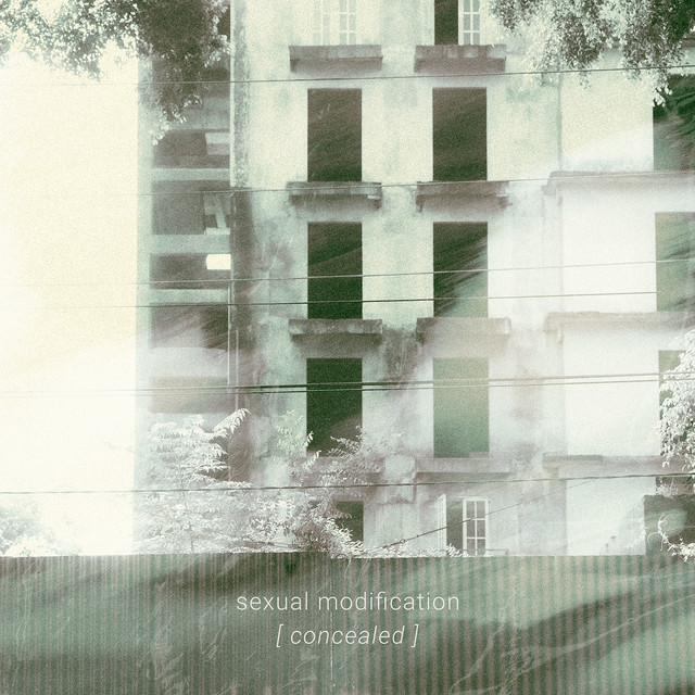 Concealed cover art