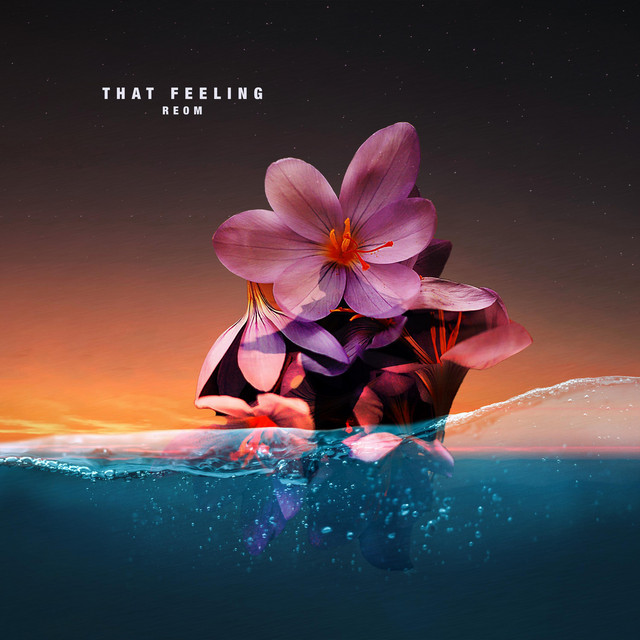 That Feeling - Single by Reom | Spotify