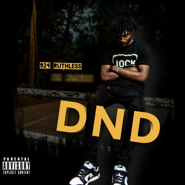 DO NOT DISTURB cover art