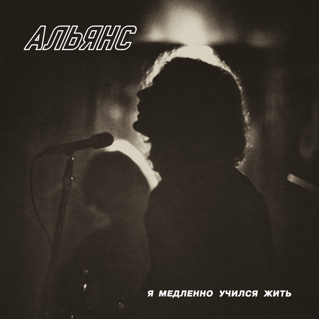 Я медленно учился жить cover art