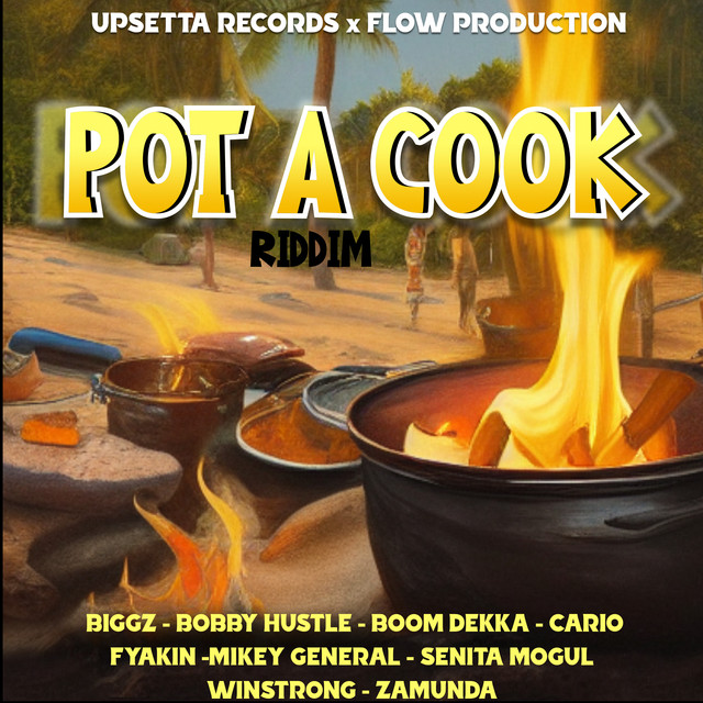 Pot a Cook Riddim cover art