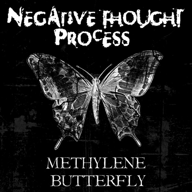 Methylene Butterfly cover art