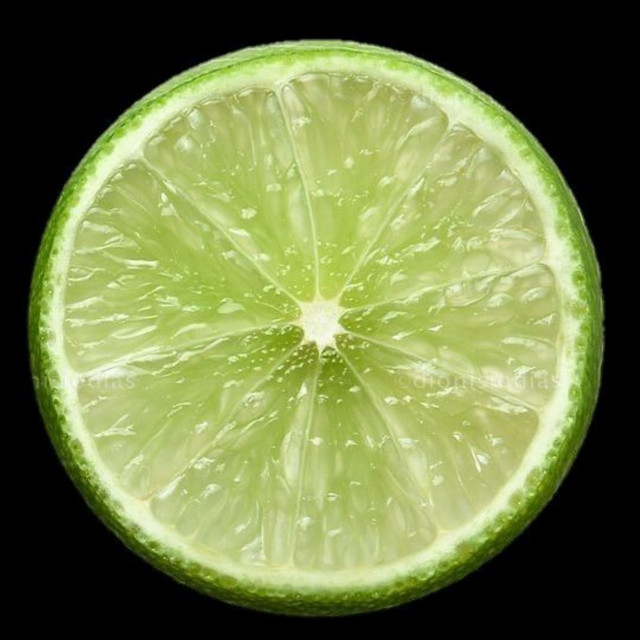 Sara. cover art