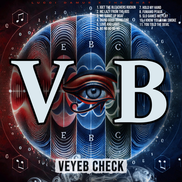 VeyeB Check cover art