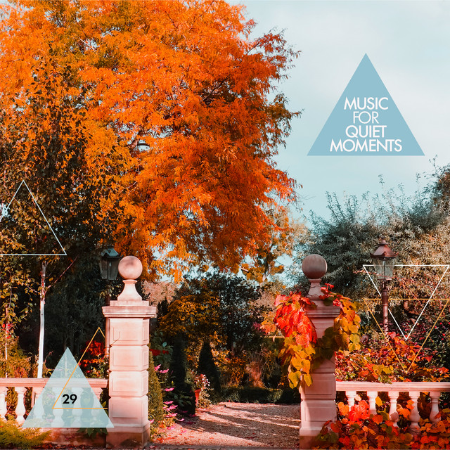 Music For Quiet Moments 29 - A Full Heart (Paris 13 Oct 2009)