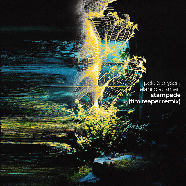 Stampede (Tim Reaper Remix) artwork