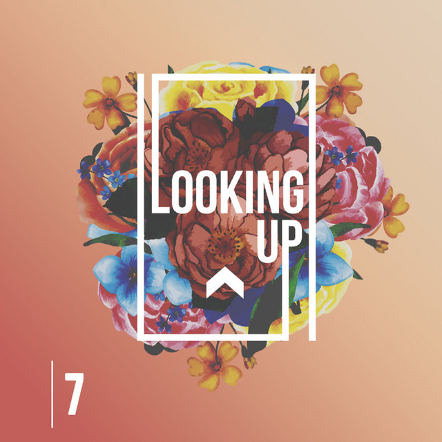 7 cover art