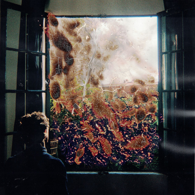 Run Wild album image