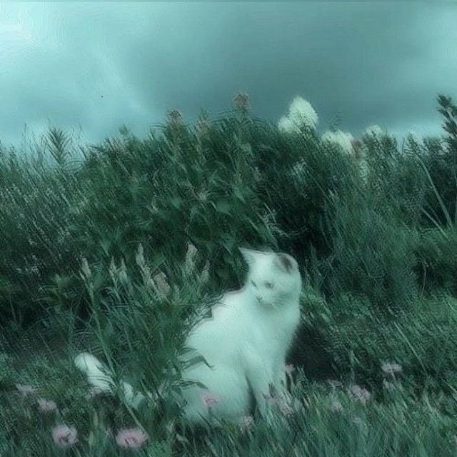 more and more (slowed)