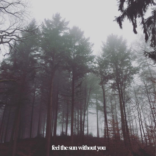 Feel the Sun Without You cover art
