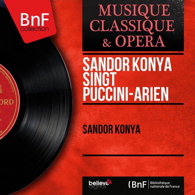Turandot: Non piangere, Liù cover art