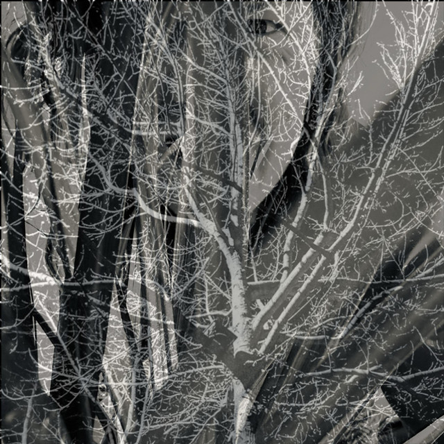 Drk Frst (Octavia Freud Remix) - Single by Pet Twin | Spotify