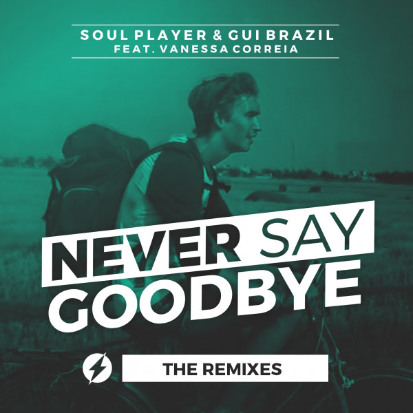 Never Say Goodbye (feat. Vanessa Correia)