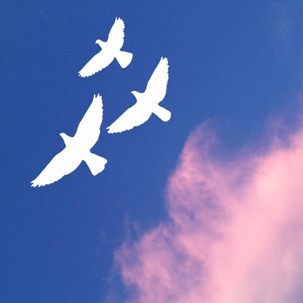 Bgm for Enlightened Moods cover art