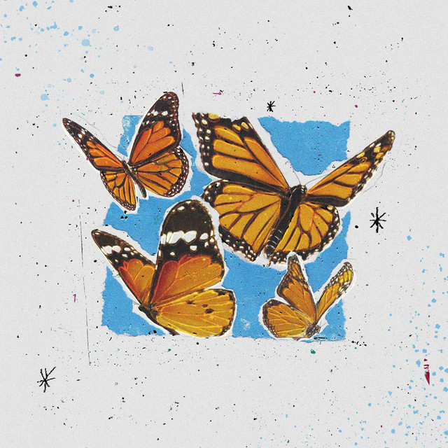 Butterflies cover