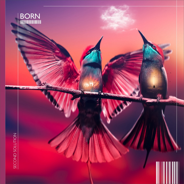 Born cover art