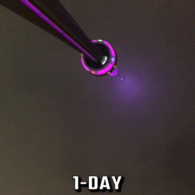 1DAY cover art