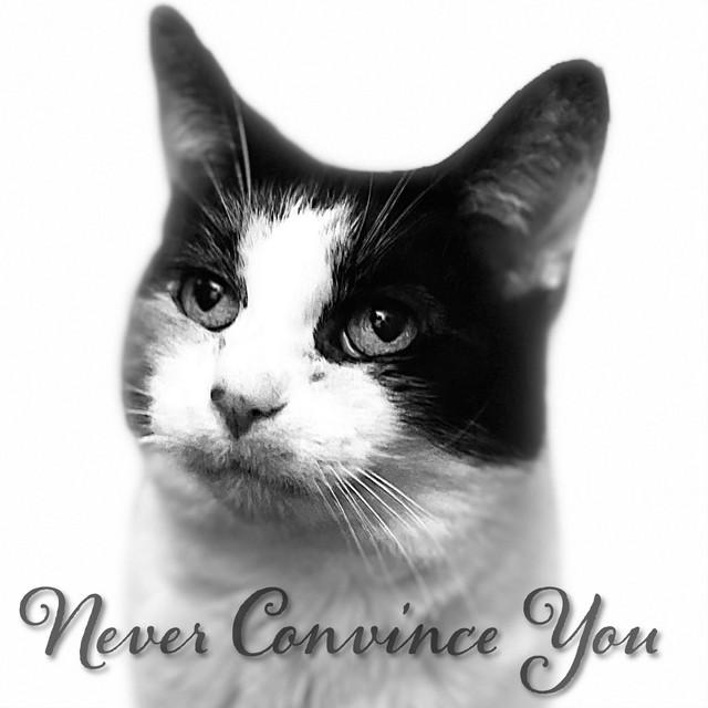 Never Convince You