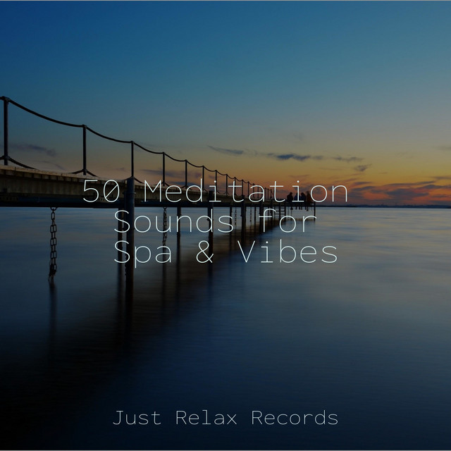 50 Meditation Sounds for Spa & Vibes - Album by Music For Absolute ...