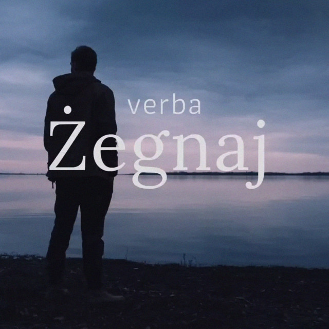 Żegnaj cover