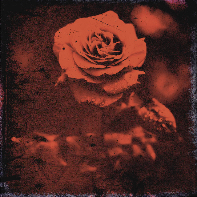Roses - Single by Krazyfingaz | Spotify
