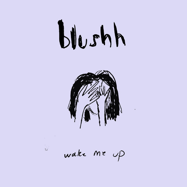 Wake Me Up cover