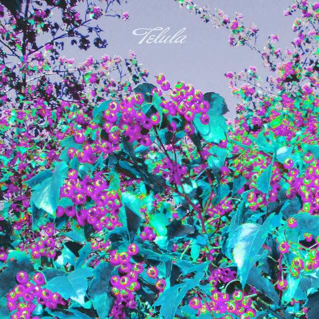 Never Enough cover art