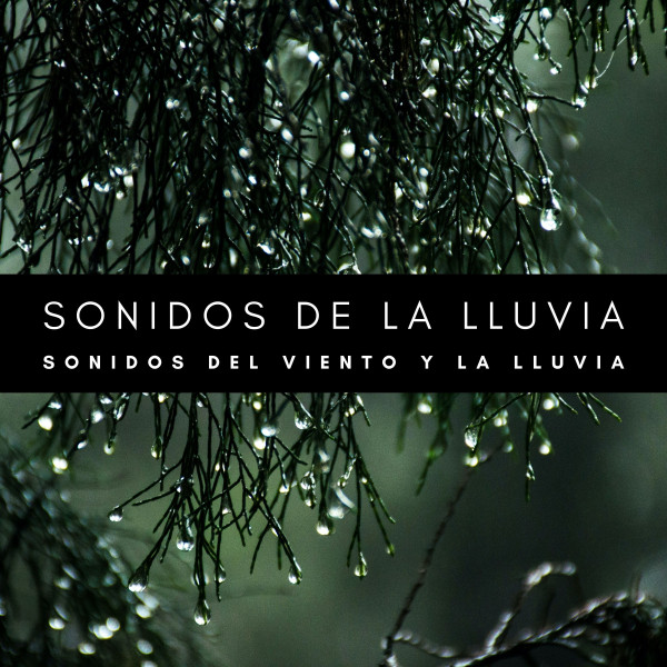 Sonidos De La Lluvia: Sonidos Del Viento y La Lluvia cover art