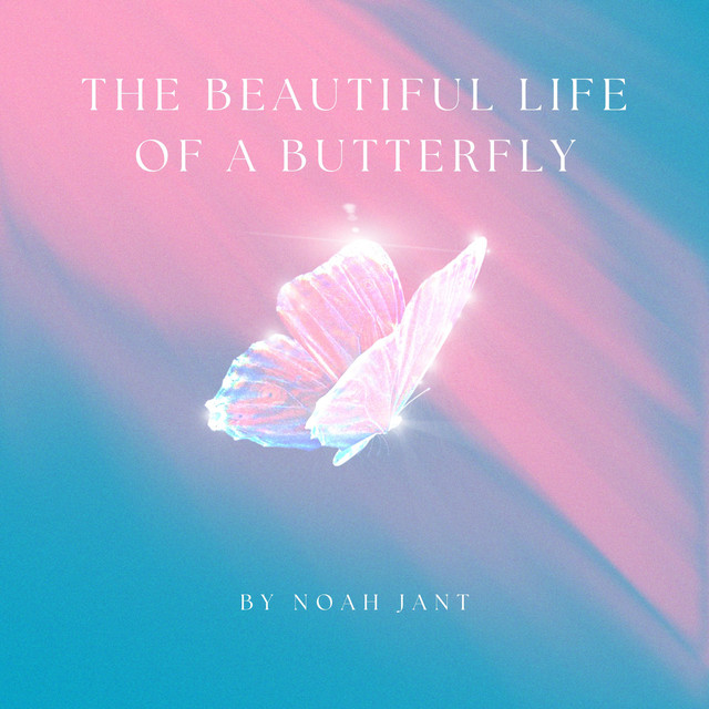 The Beautiful Life Of A Butterfly