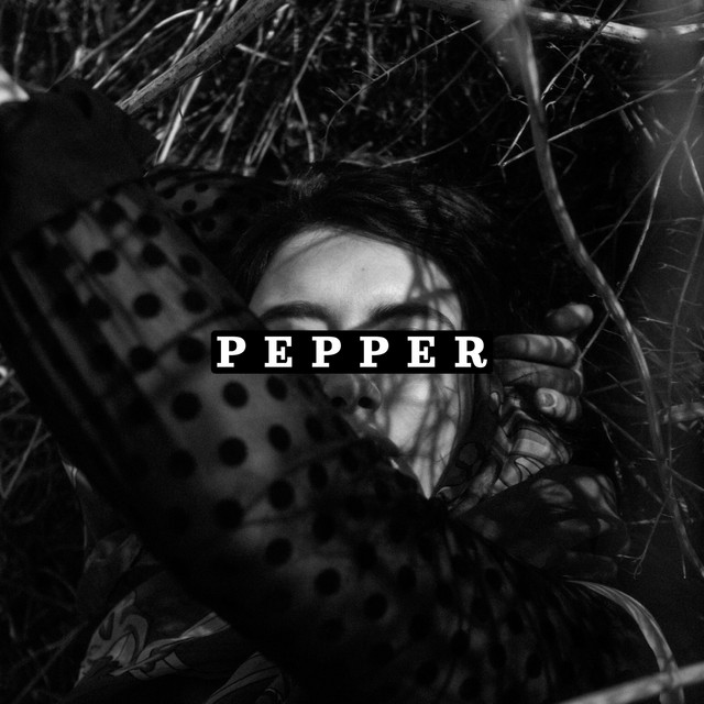 Vielleicht cover art