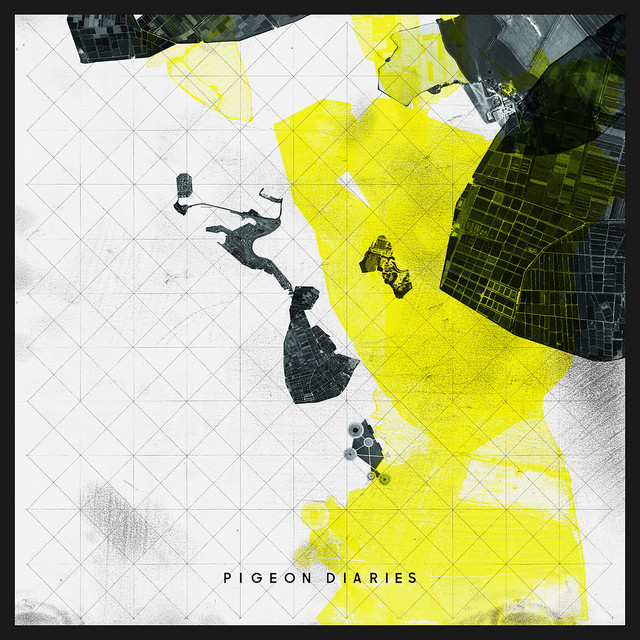 Pigeon Diaries (single)