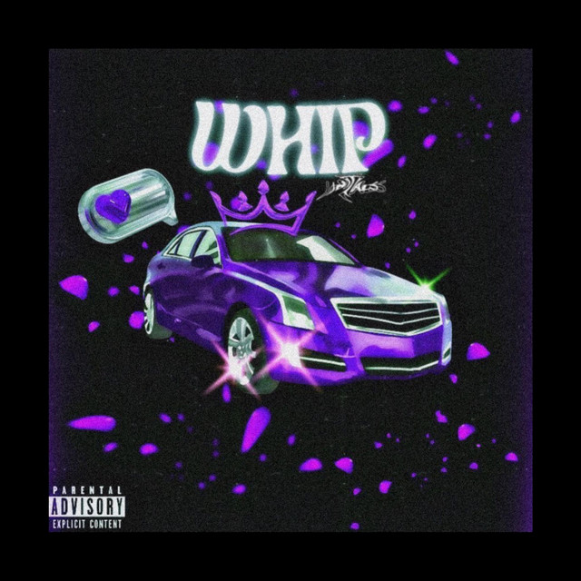 Whip cover art