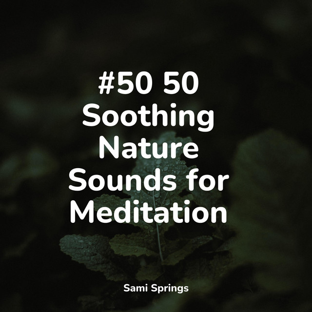 #50 50 Soothing Nature Sounds for Meditation - Album by Rain Shower Spa ...