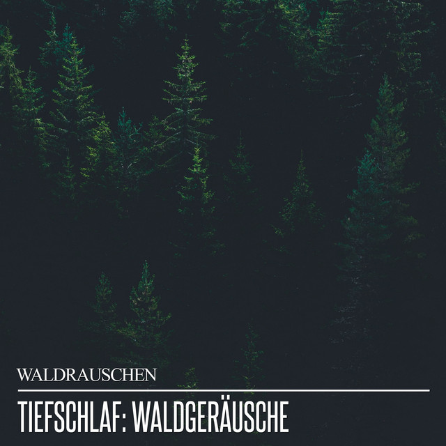 Tiefschlaf: Waldgeräusche cover art