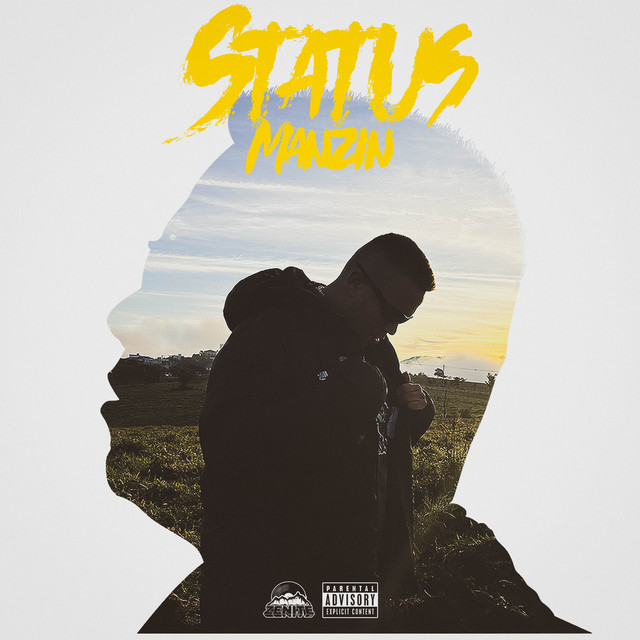 Status cover art