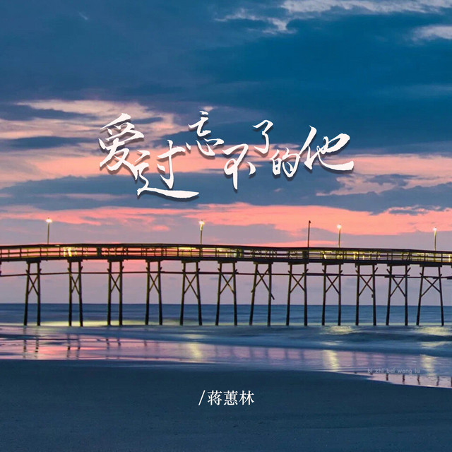 爱过忘不了的他 - DJ默涵版