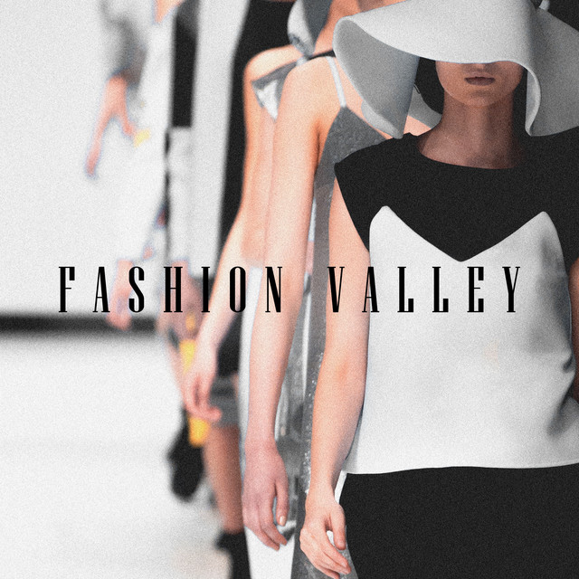 Fashion Valley (Tech-House & Techno) cover art
