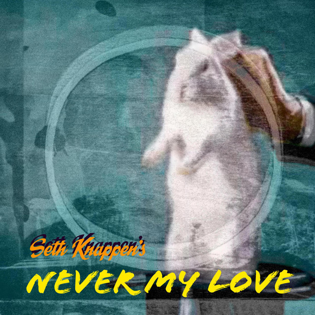Never My Love cover
