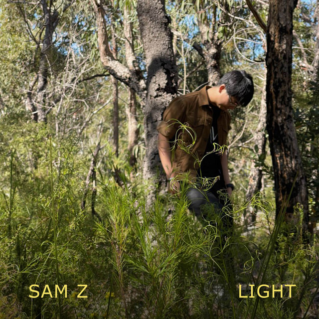 Light - song and lyrics by Sam Z | Spotify