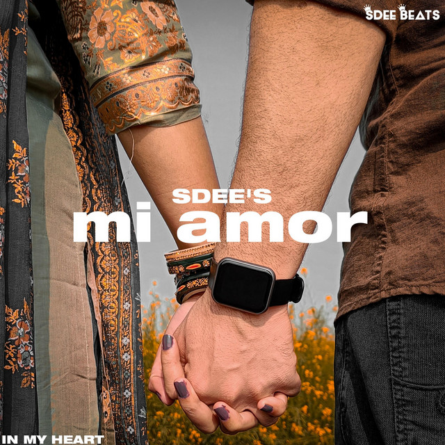 Mi Amor cover art