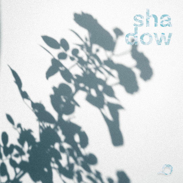 sha dow cover