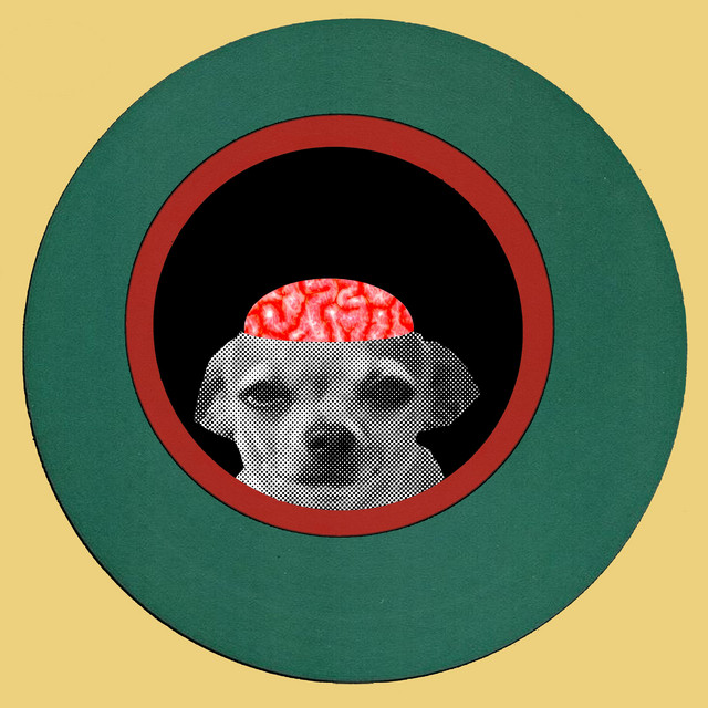 Carnaloid cover art