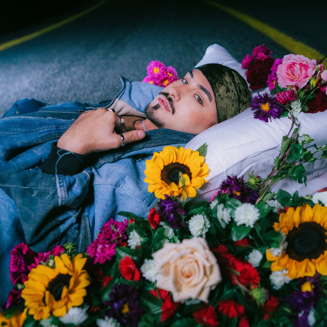 Alguien Como Tú cover art